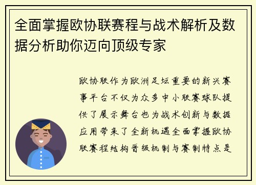 全面掌握欧协联赛程与战术解析及数据分析助你迈向顶级专家